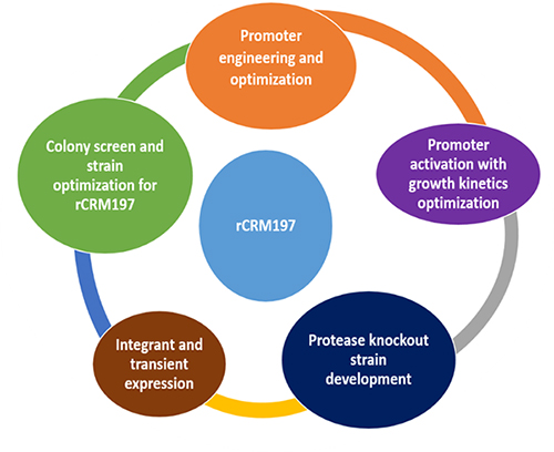 CRM-197