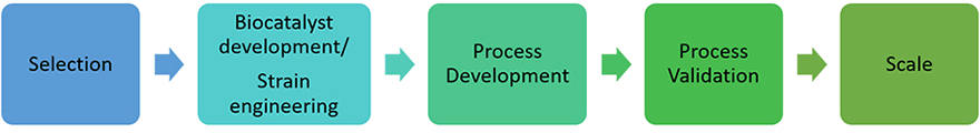 Green synthesis